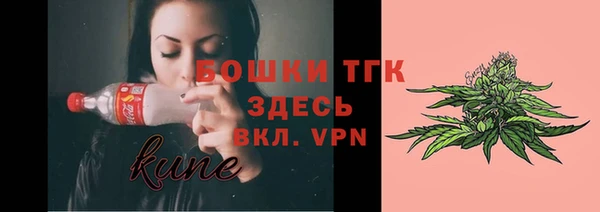 спайс Дмитриев