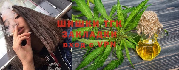 спайс Дмитриев