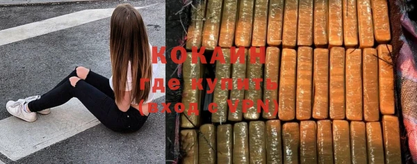 спайс Дмитриев