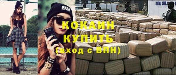 спайс Дмитриев