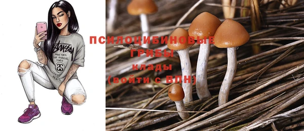 ешки Дмитров
