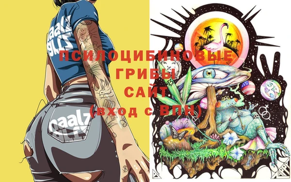ешки Дмитров