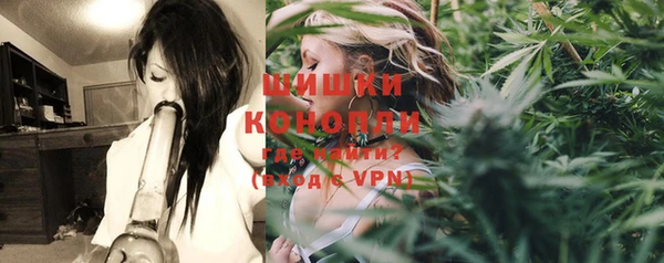 спайс Дмитриев