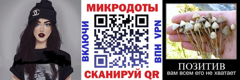 Псилоцибиновые грибы мухоморы  Иланский 