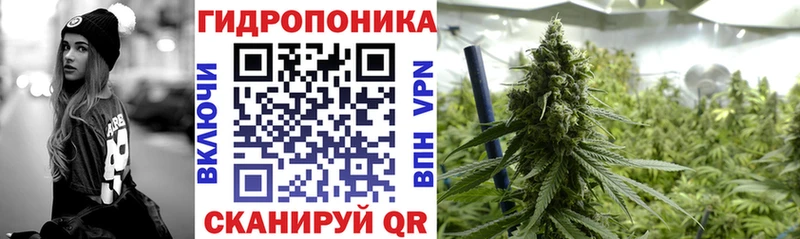 Шишки марихуана марихуана  закладки  Иланский 